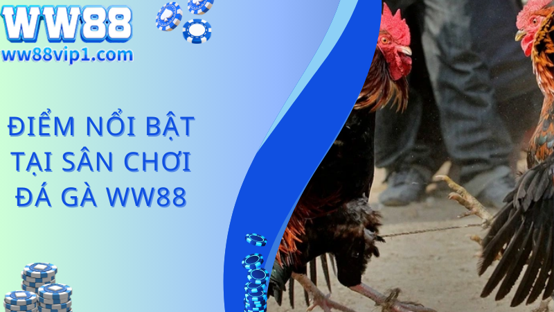 Hình thức đá gà WW88 dành cho người chơi