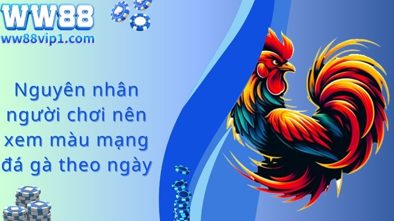 Nguyên nhân xem màu mạng gà đá theo ngày