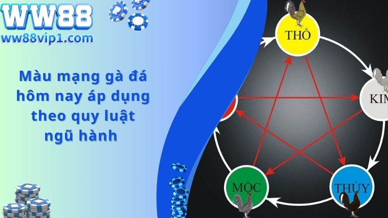 Quy luật ngũ hành trong màu mạng gà đá theo ngày 