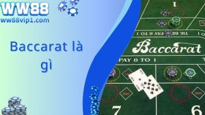 Baccarat Là Gì? Chia Sẻ Chiến Lược Chơi Baccarat Quả Nhất