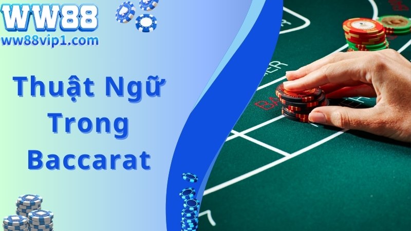 Thuật ngữ nên biết khi làm quen với cách chơi Baccarat